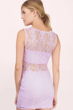 Tobi Alayna Lace Embroidered Mini Dress -