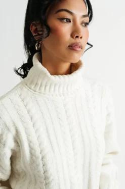 Tobi Autumn Skies Turtleneck Sweater -