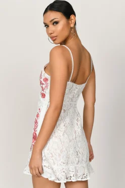 Tobi Avery Lace Embroidered Mini Dress - Nude