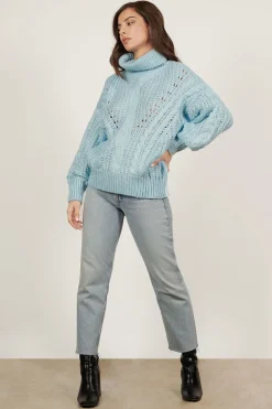 Tobi Cold Waters Turtleneck Sweater -