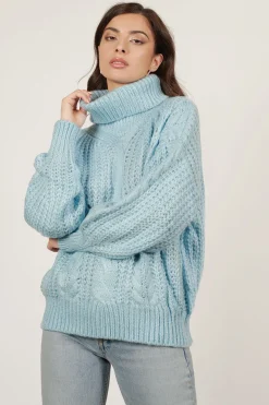Tobi Cold Waters Turtleneck Sweater -