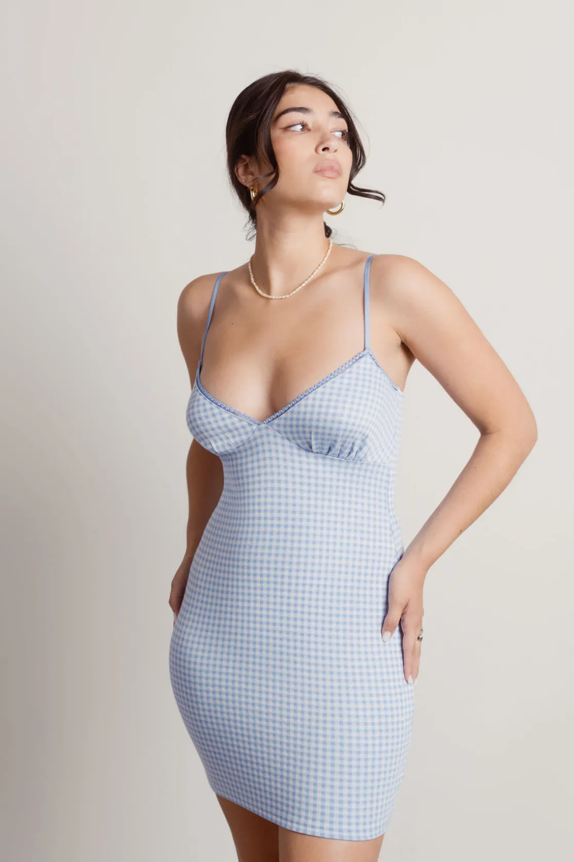 Tobi Fruit Sandos Gingham Bodycon Mini Dress - Blue