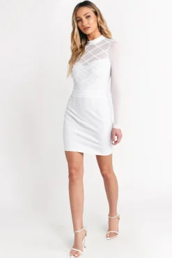 Tobi Know Better Mesh Bodycon Mini Dress -