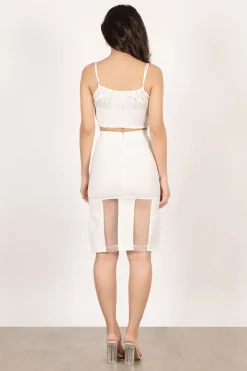 Tobi Legs For Days Mesh Midi Skirt -