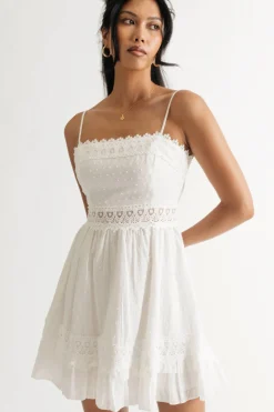 Tobi Make Me Go Lace Skater Dress
