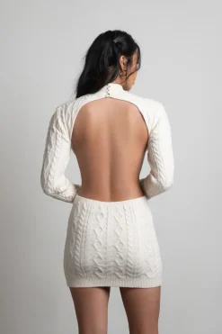 Tobi Maurissa Backless Sweater Mini Dress -