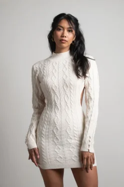 Tobi Maurissa Backless Sweater Mini Dress -