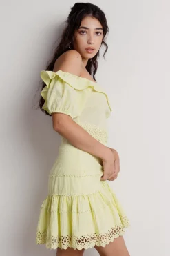Tobi Meadow Swiss Dot Skater Mini Dress -