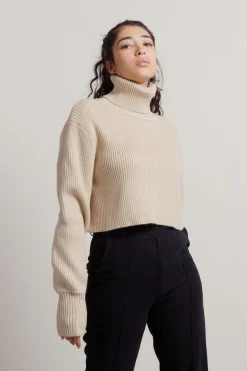 Tobi Overthinking Turtleneck Sweater -