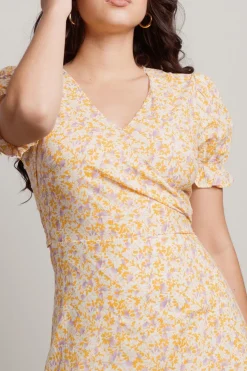 Tobi Picket Fence Floral Wrap Mini Dress -