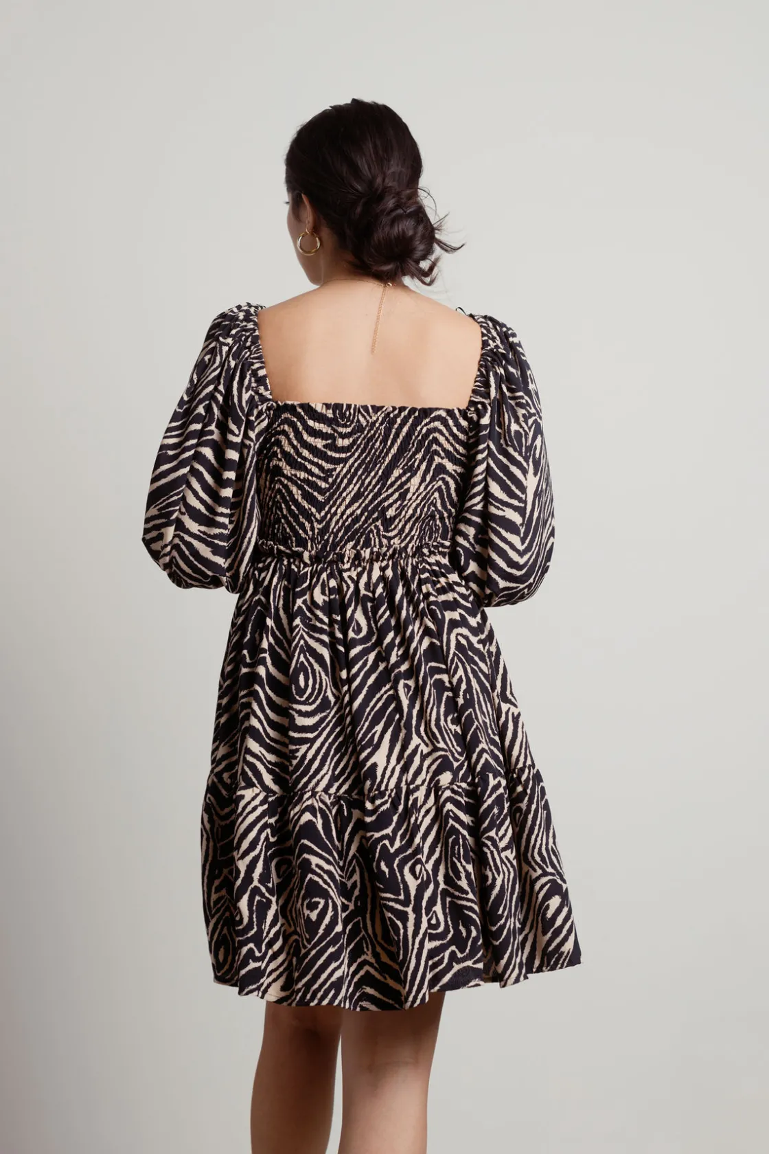 Tobi Savana Zebra Print Skater Mini Dress -