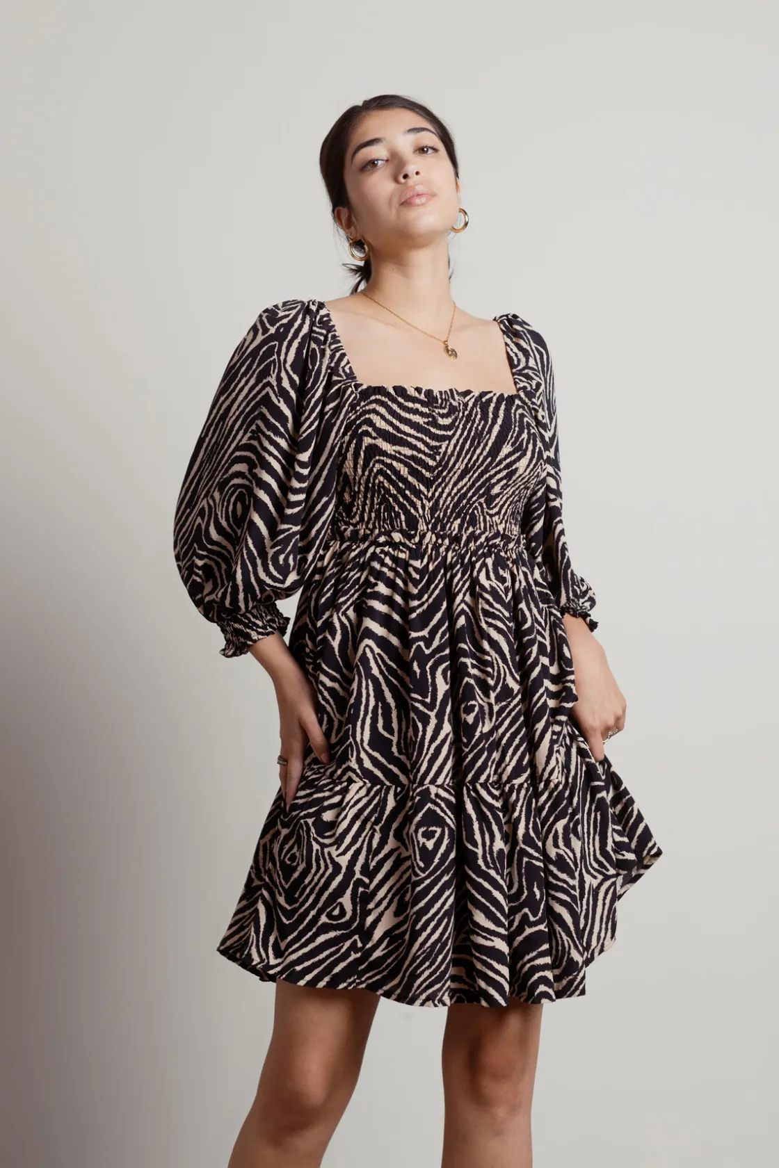Tobi Savana Zebra Print Skater Mini Dress -