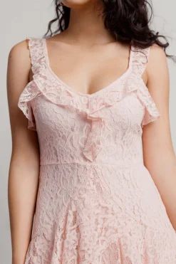 Tobi Seanna Lace Skater Mini Dress -
