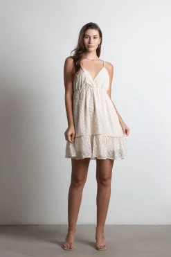 Tobi See The Sun Embroidered Floral Tiered Mini Dress -