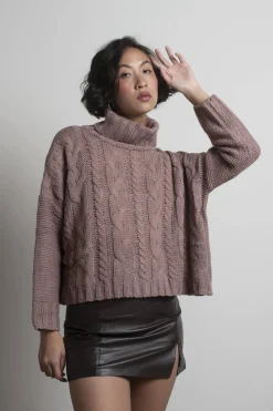 Tobi So Breezy Turtleneck Sweater - Mauve