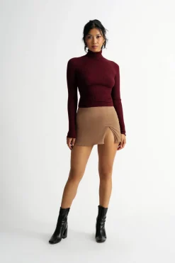 Tobi Stick Around Turtleneck Sweater - Dark Red