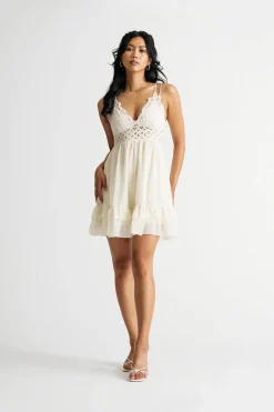 Tobi Summer Sweetness Lace Ruffle Skater Mini Dress