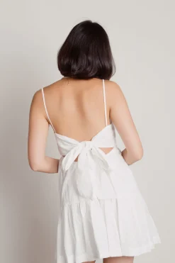 Tobi Surprised Me Back Tie Skater Mini Dress -
