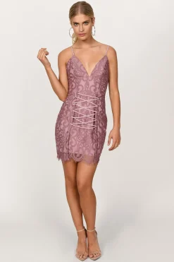 Tobi Taylor Lace Plunging Mini Dress -