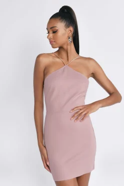Tobi The Lowdown Open Back Bodycon Mini Dress - Rose